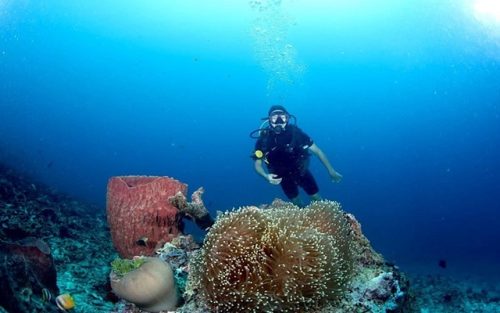 Đảo Bunaken - thiên đường lặn biển lý tưởng trong tour du lịch Indonesia