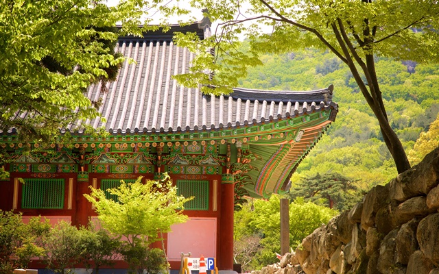 Những cảnh đẹp ấn tượng tại khu du lịch Hàn Quốc