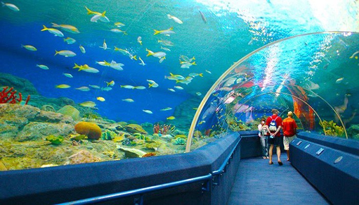Những địa điểm du lịch Khánh Hòa hấp dẫn thu hút du khách